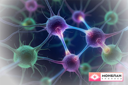 Нейроны головного мозга